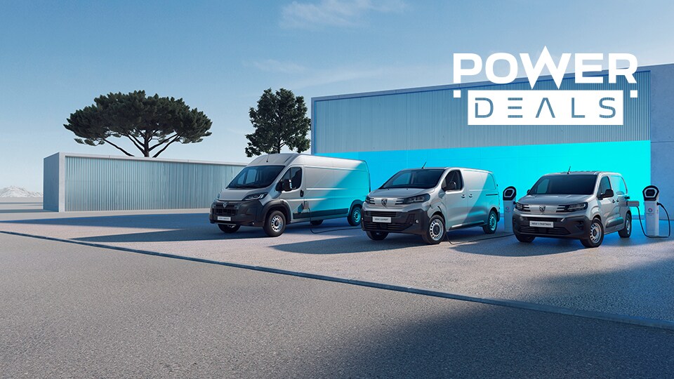 Acties en aanbiedingen